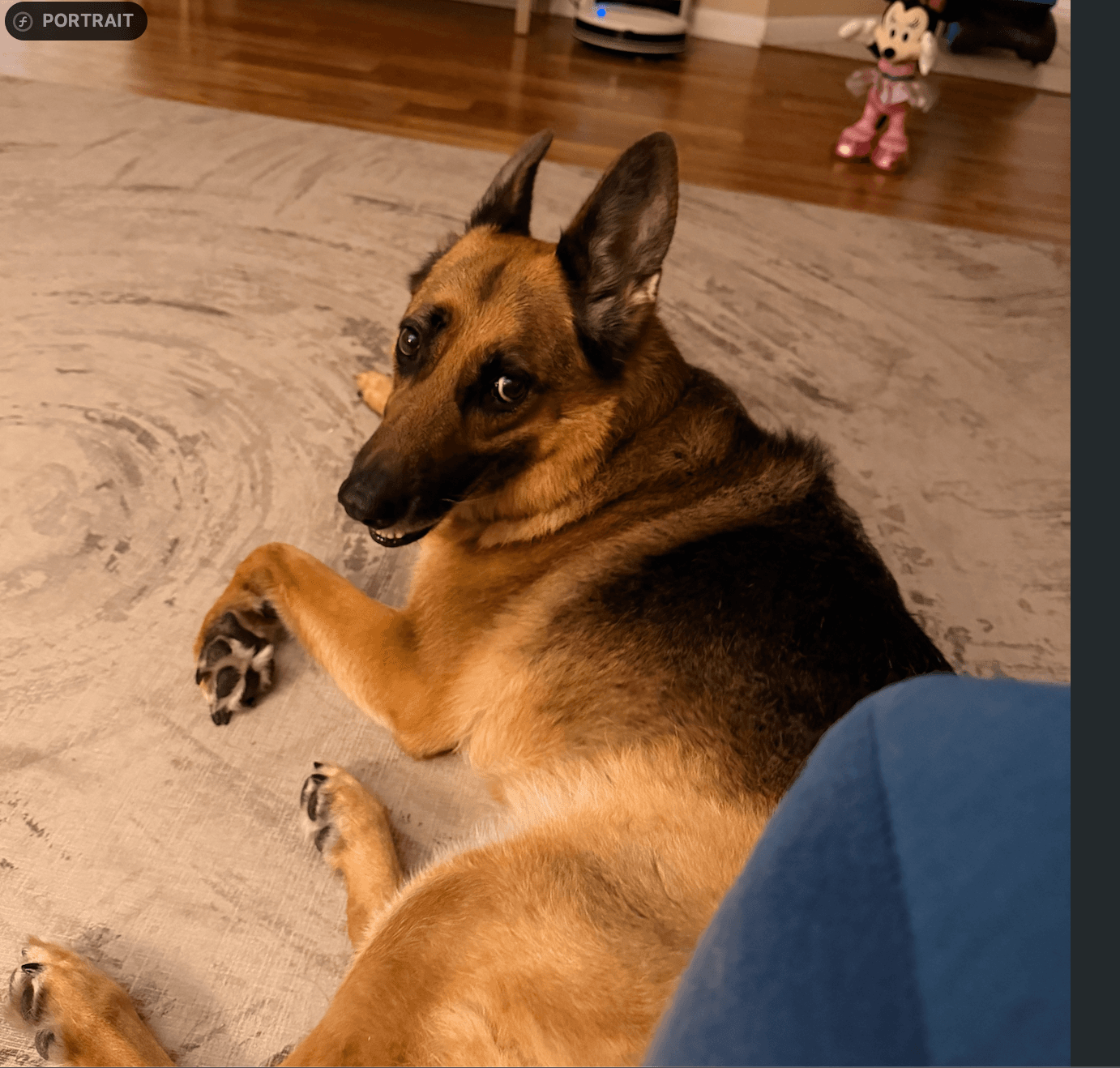 Roma relaxing